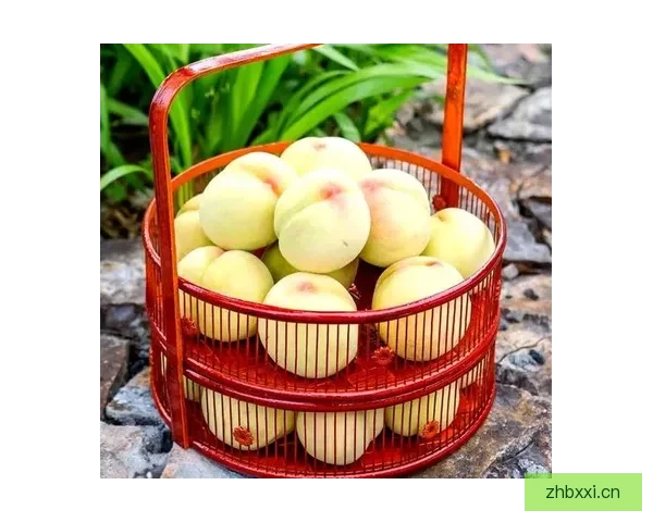 沉醉蜜桃，寻味夏日限定的甜蜜滋味